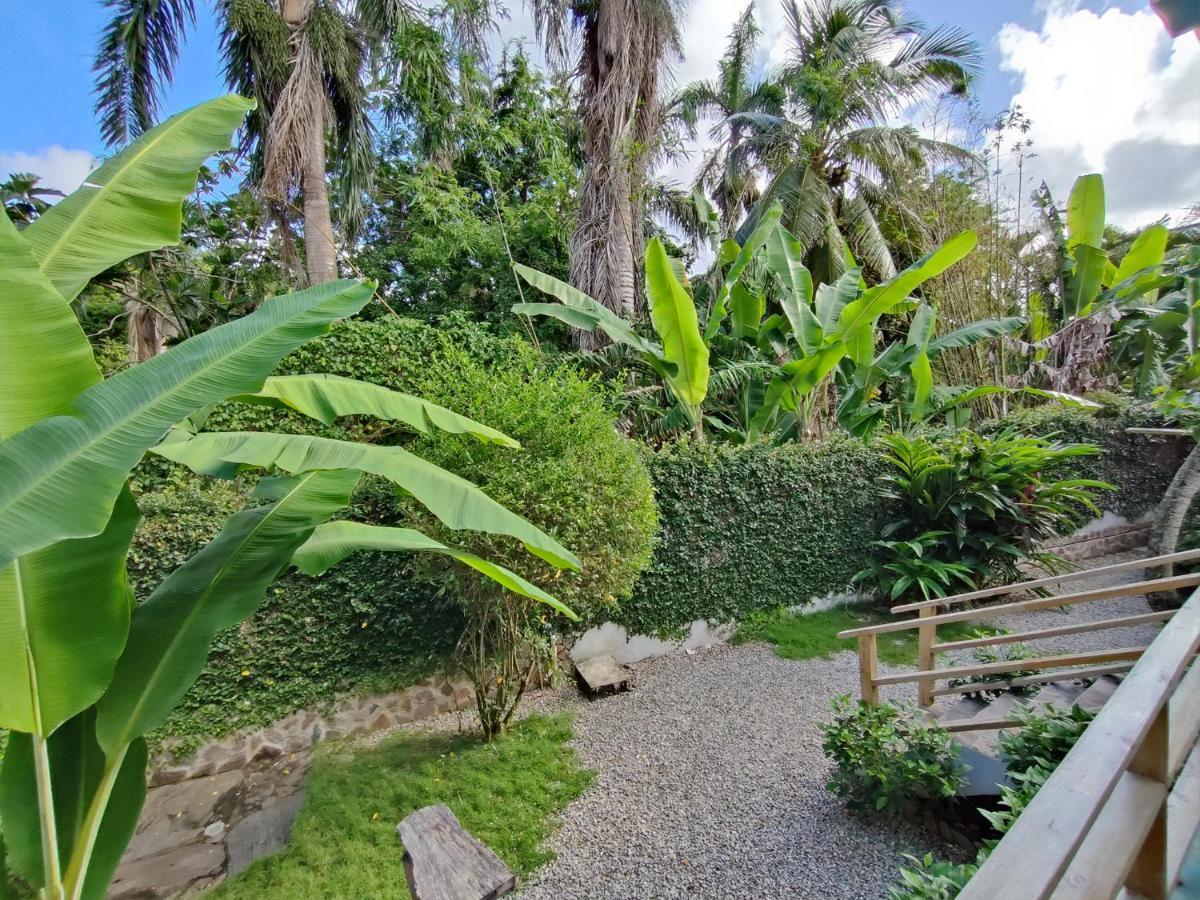House Jardin Del Caribe Aparthotel Las Terrenas Exterior photo